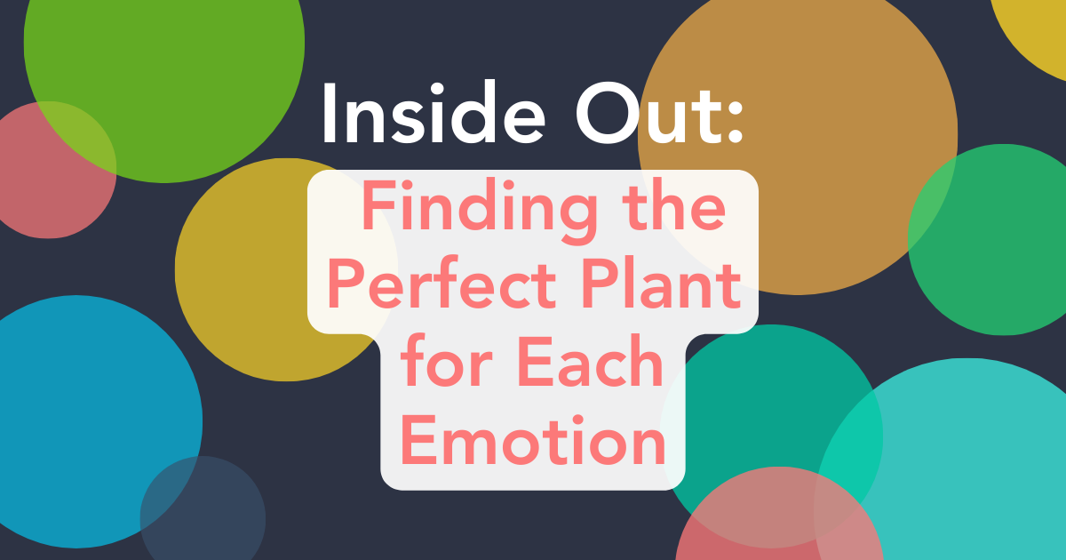  Inside Out: Finding the Perfect Plant for Each Emotion