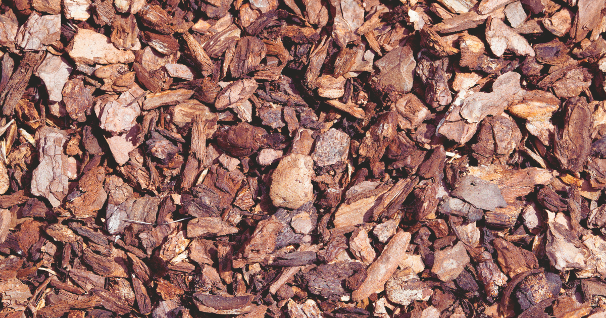 Maintaining Mulch During June Heat.png