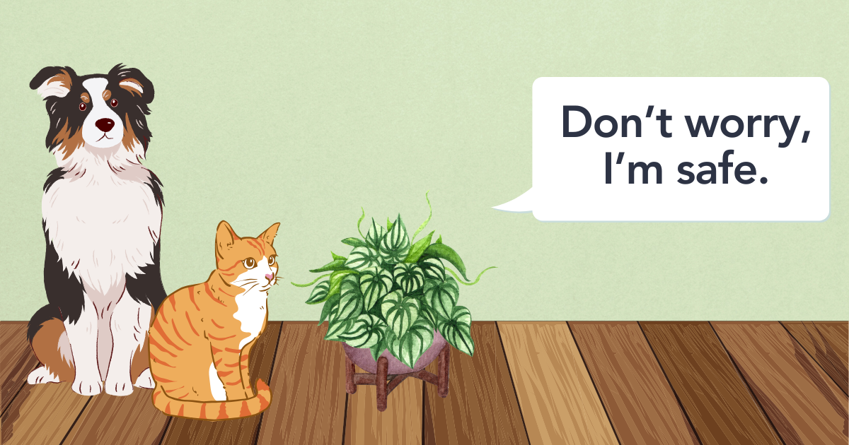 safe non-toxic template.png