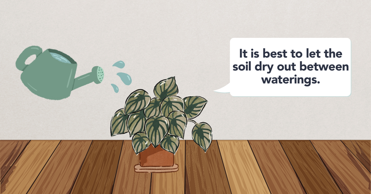 watering-template (1).png