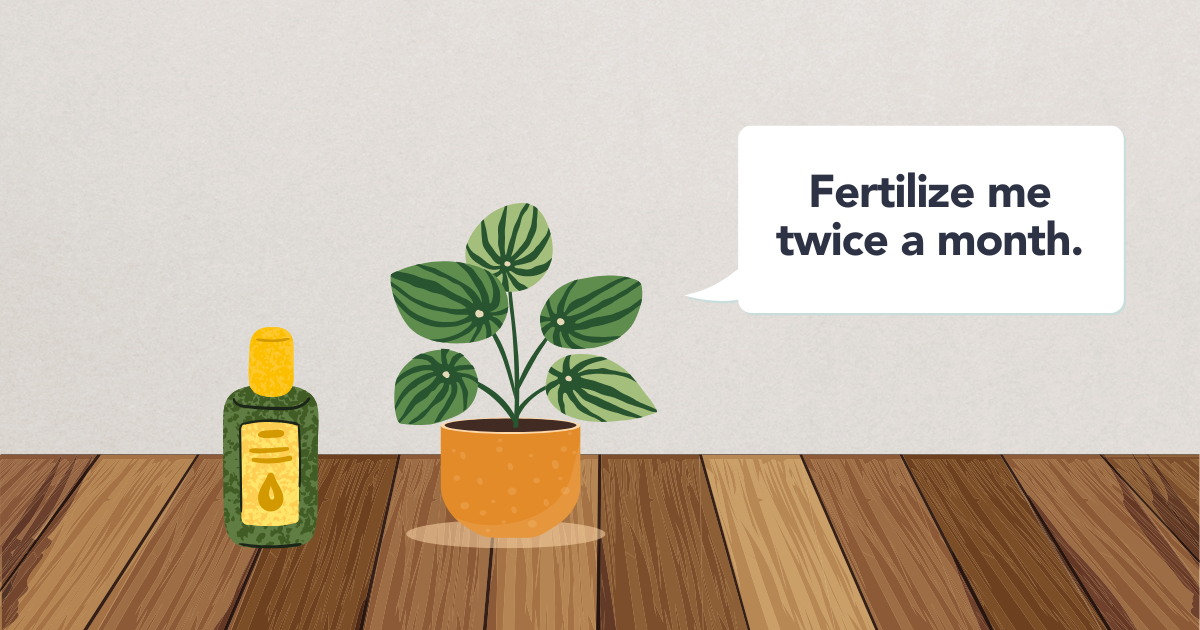 fertilizing-template (1).png