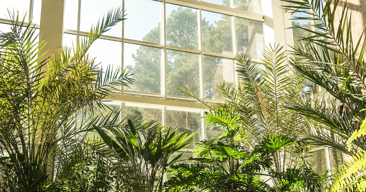 indoor plant light.png indoor plant light.png