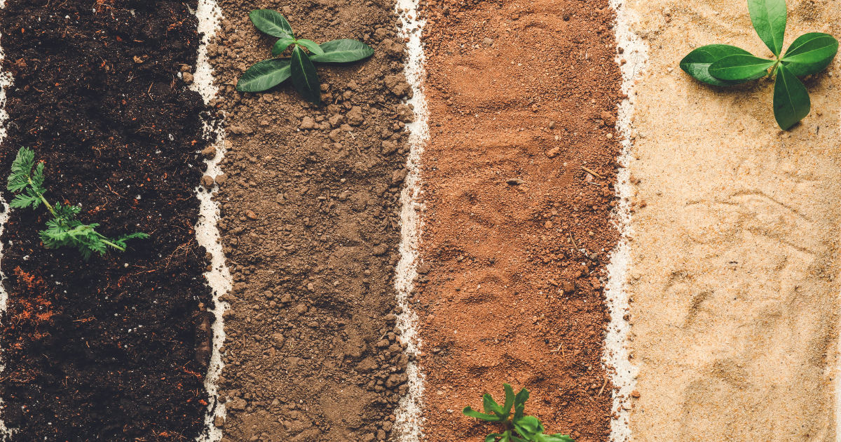 soil types.png soil types.png