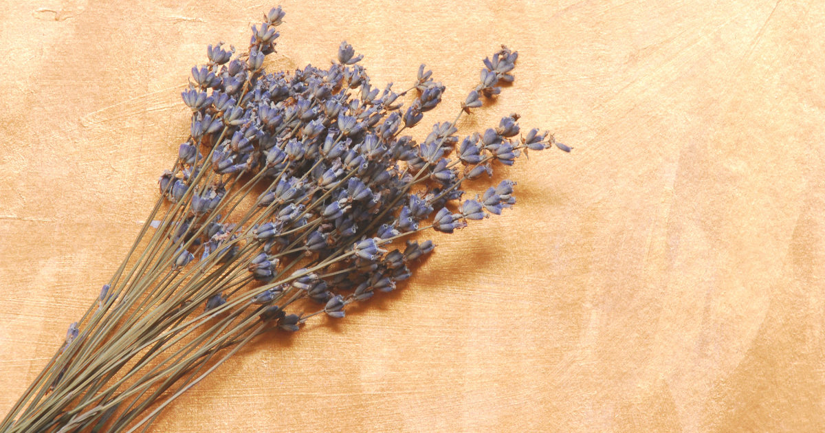 Common Mistakes to Avoid When Pruning.png