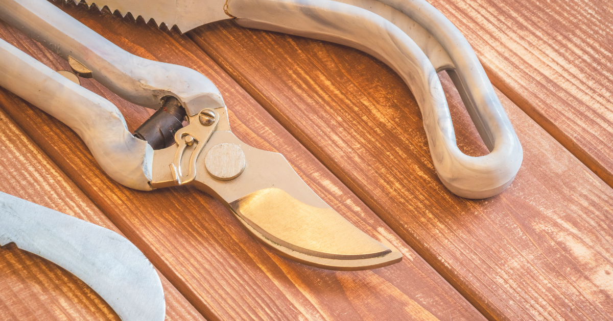 Essential Tools for Rose Pruning.png