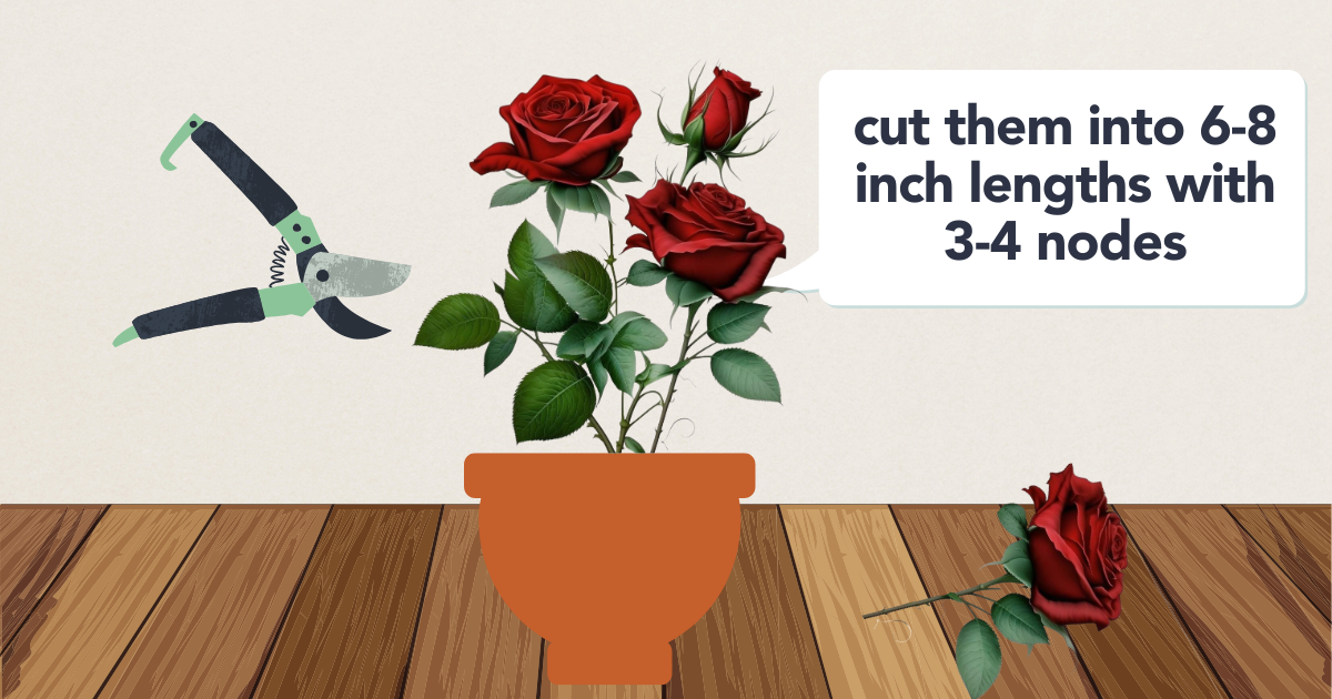 pruning template copy.png