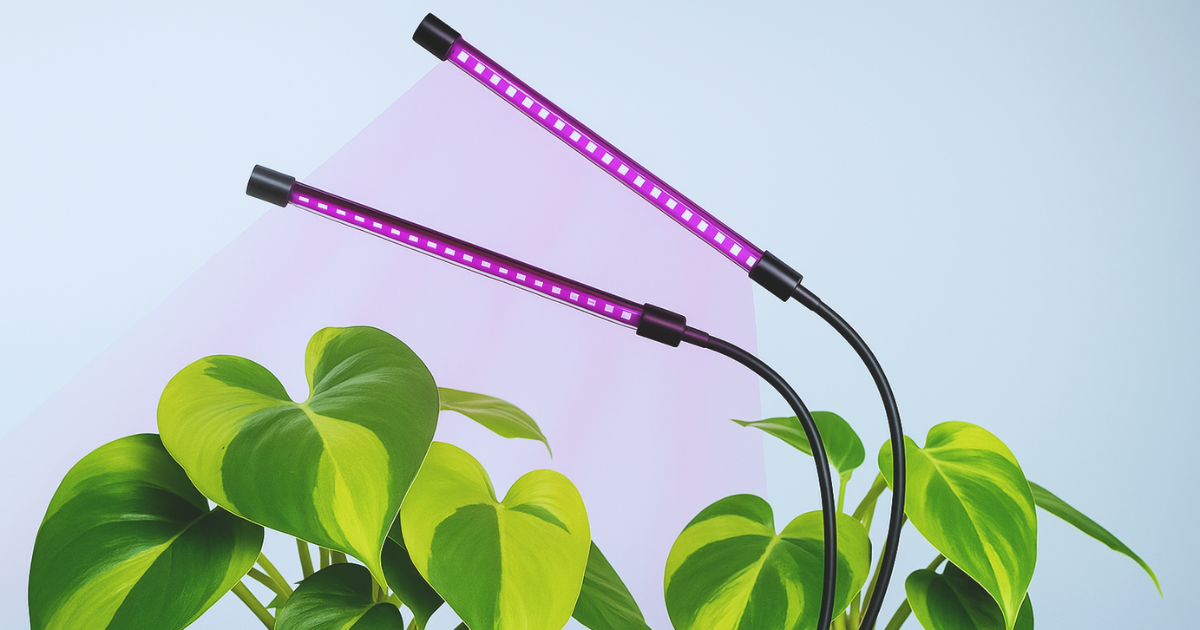 Using Artificial Light for Philodendrons.png