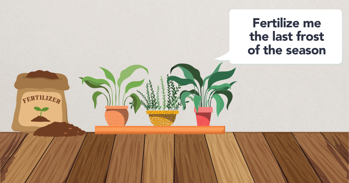 spring fertilizing houseplants (1).png spring fertilizing houseplants (1).png