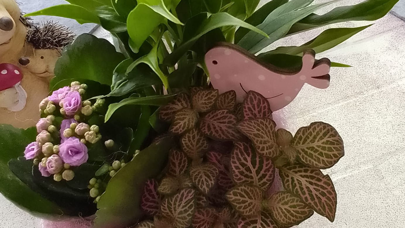 Frühlingsblumen in einem Weidekorb in der Natur