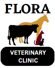Flora Veterinary Clinic
