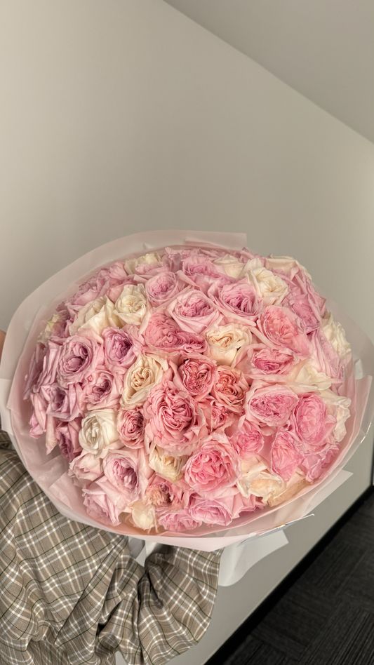 71 {pcs}