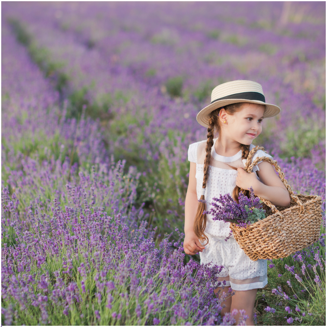 Saquito Lavanda natural - rocigarcía ®