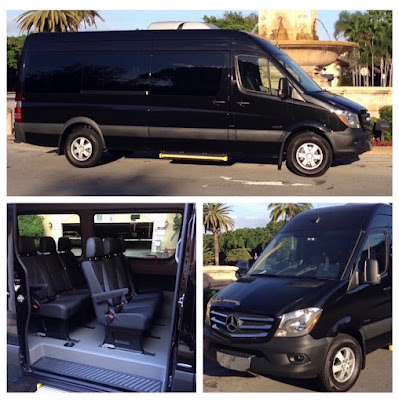 Professional Limo Service