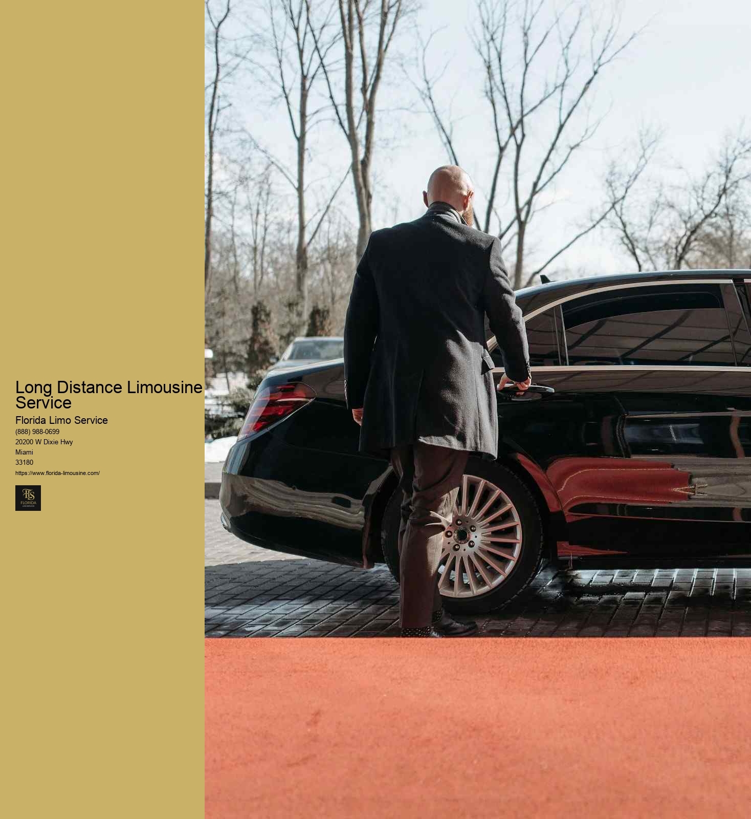 Long Distance Limousine Service