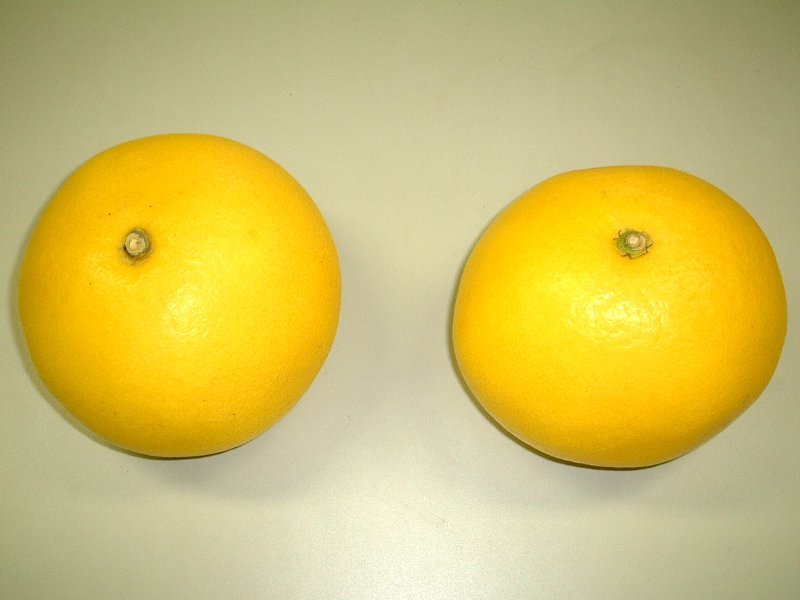 Hassaku orange