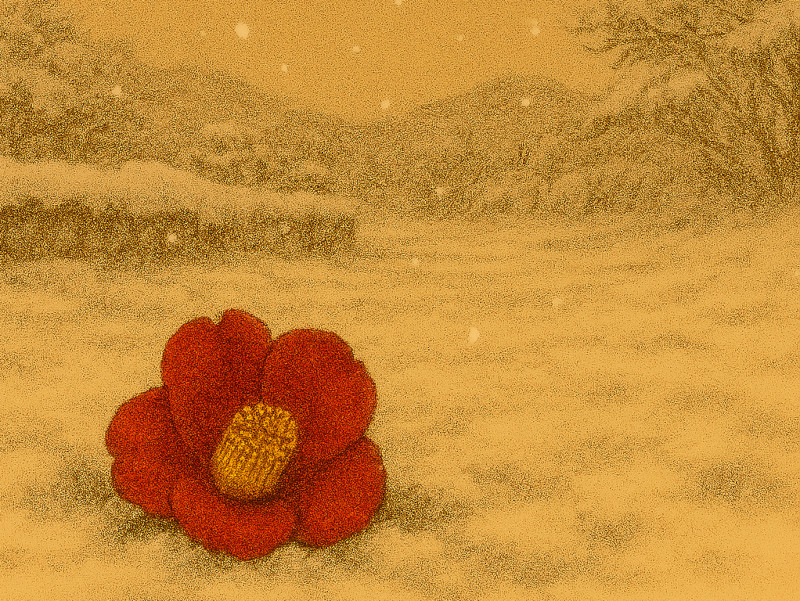 2025年1月の赤い花