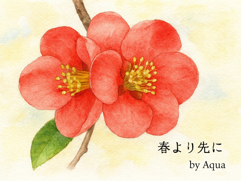 💧2月17日の誕生花、水滴詩～ボケ(木瓜)～ Aqua