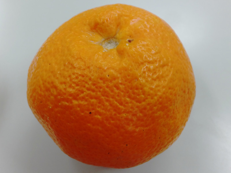 Navel Orange