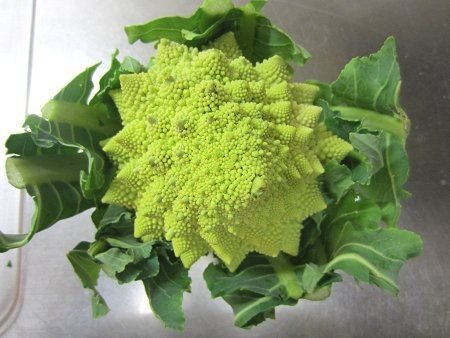 Romanesco broccoli