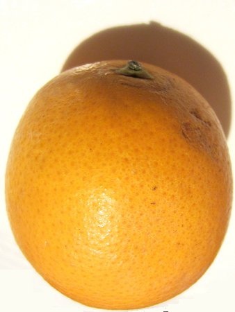 Valencia orange