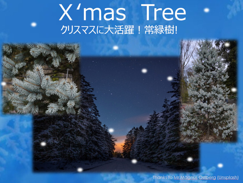 X'mas tree