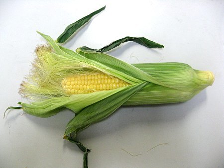 Corn