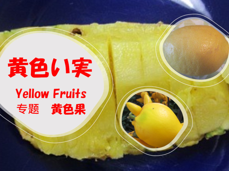 Yellow Fruits