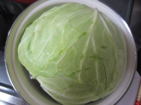 Cabbage