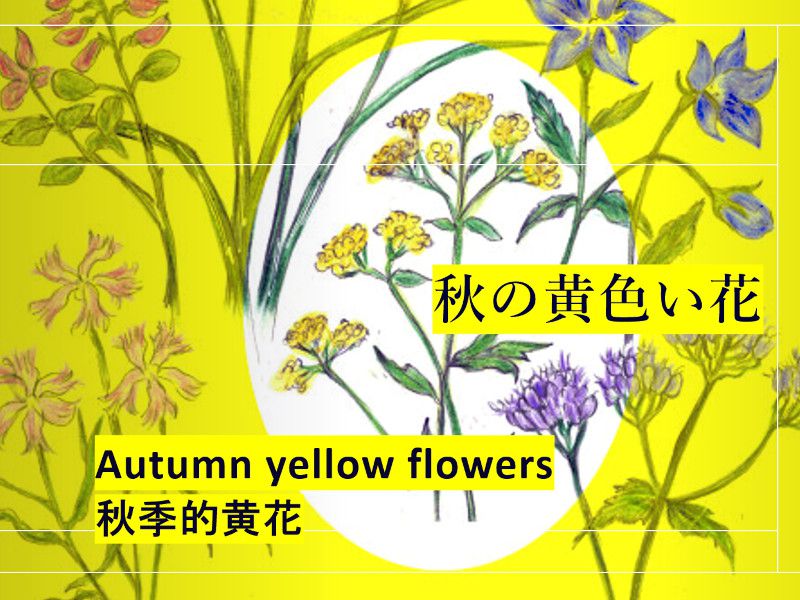 Autumn yellow flowers