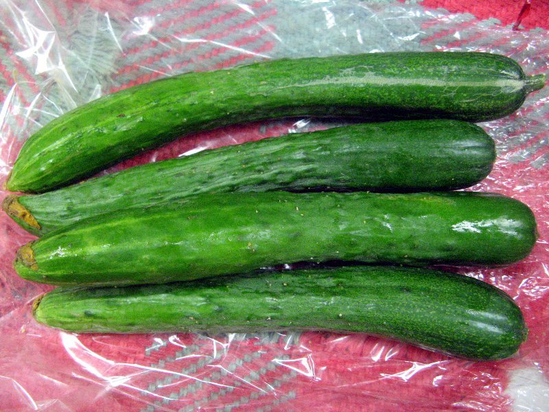 Cucumber