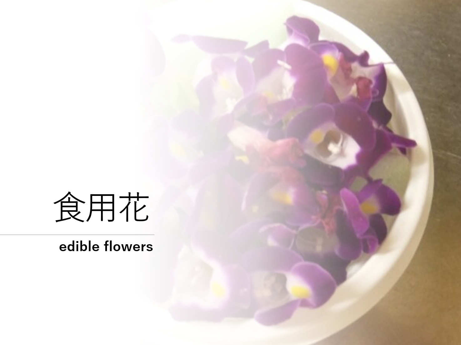 Edible flower