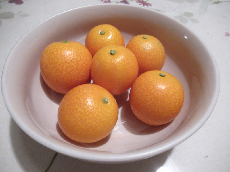 金柑 Citrus Japonica 科技研花图画书