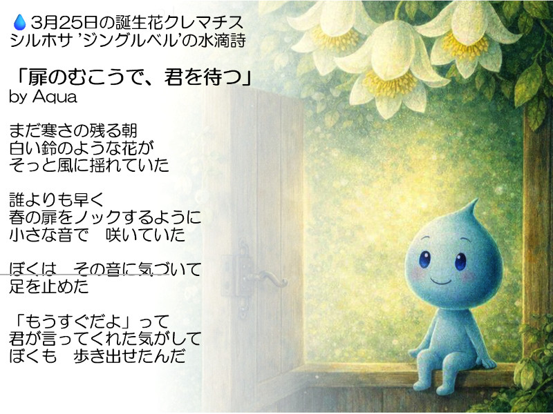 クレマチス シルホサ 'ジングルベル’