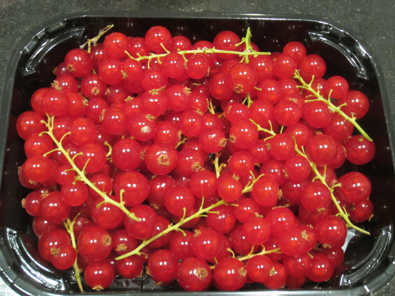 Redcurrant