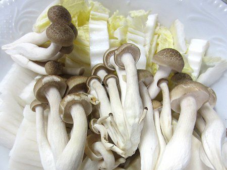 鴻喜菇