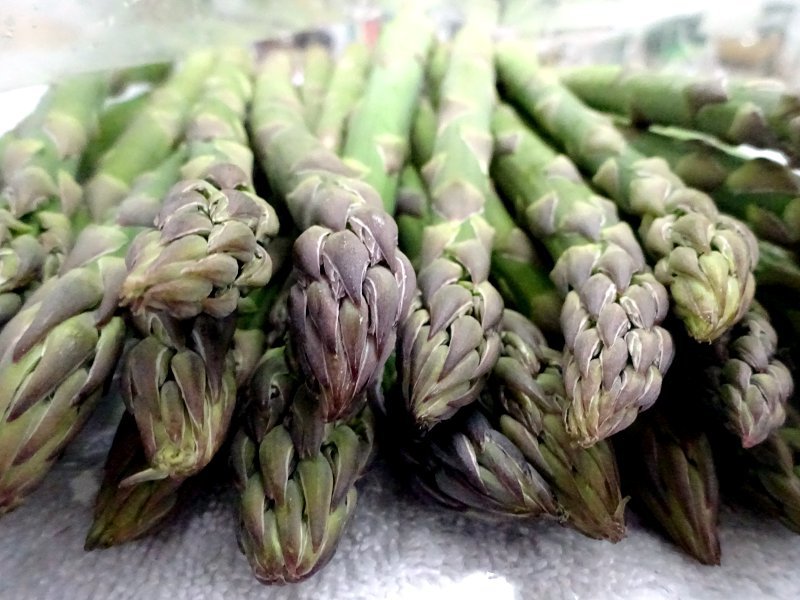 アスパラガス オフィキナリス Asparagus Officinalis かぎけん花図鑑