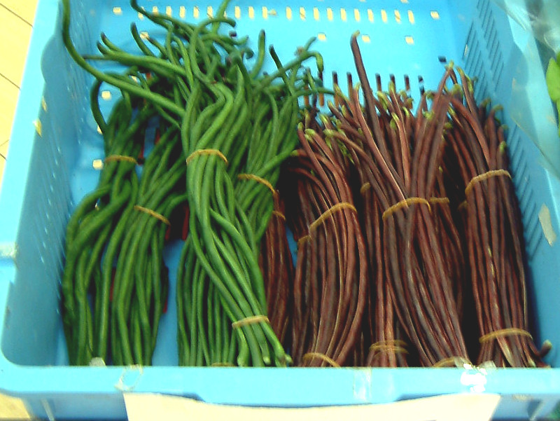 The Asparagus bean