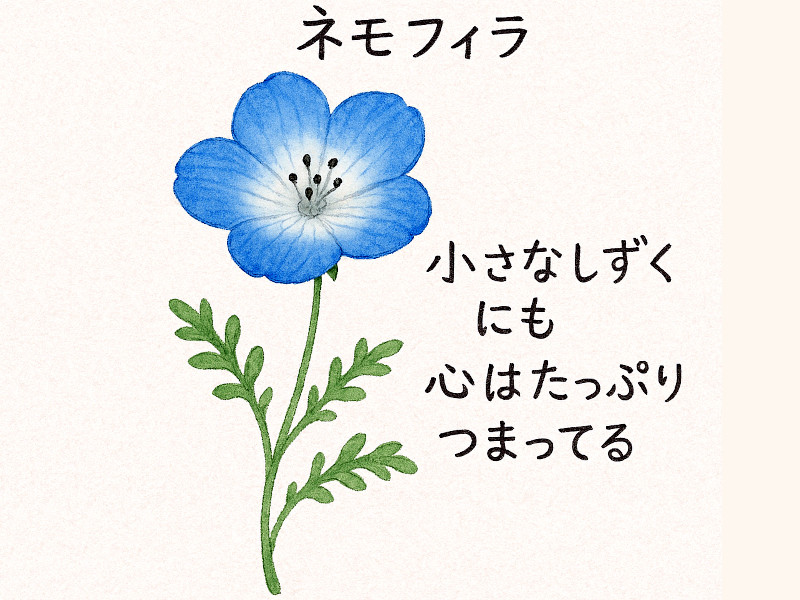 【特集】3月の青い花一覧