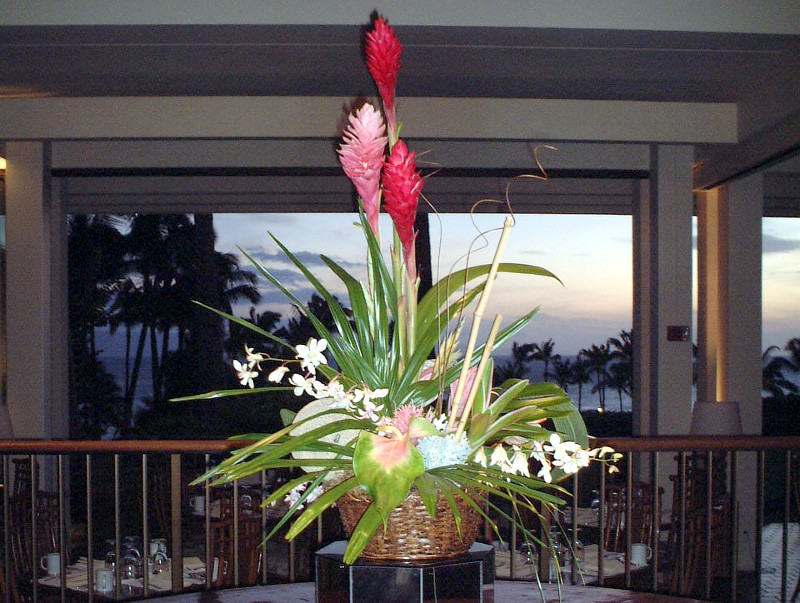 ピンクジンジャー Alpinia Purpurata Pink かぎけん花図鑑