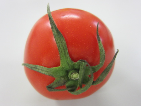 Tomato