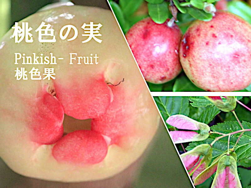 pink fruit