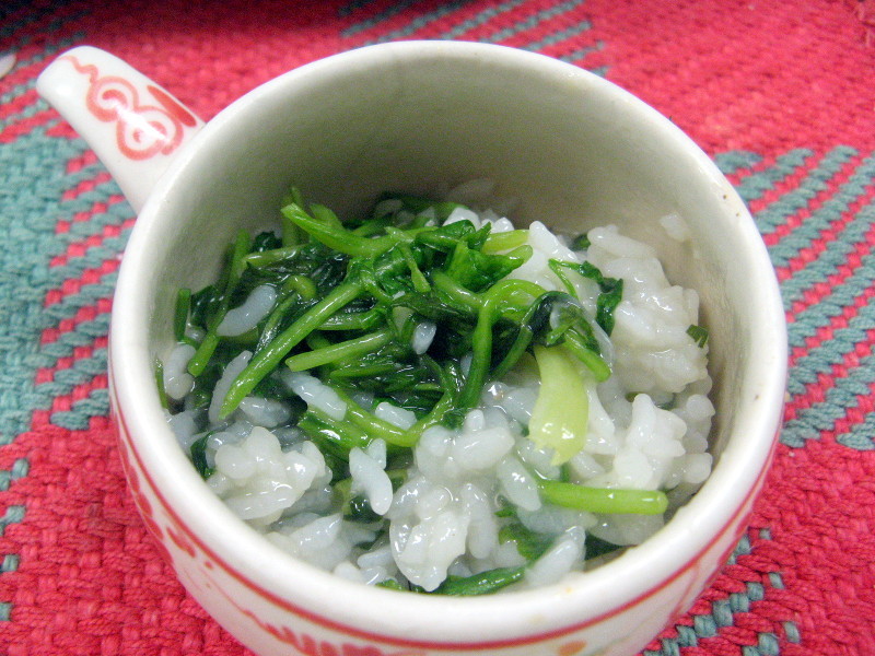 Japanese Parsley Oenanthe Javanica Flower Database