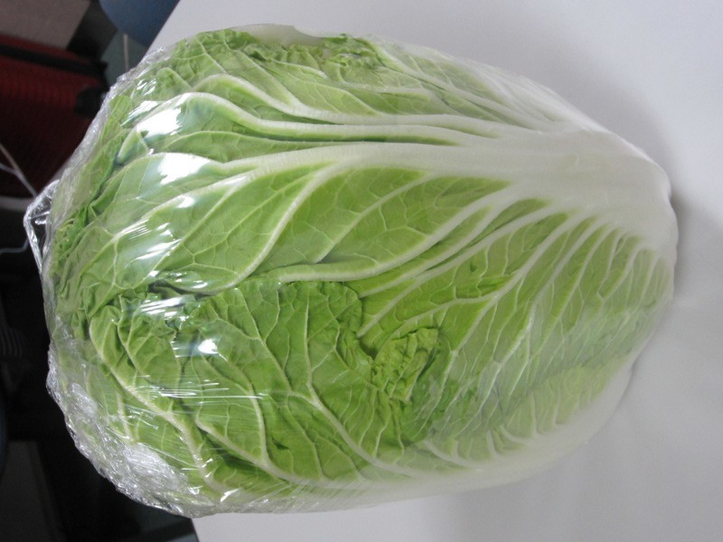 Napa cabbage