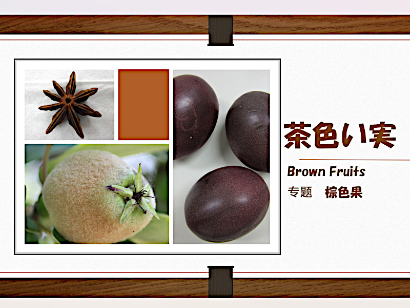 Feature Brown Fruits