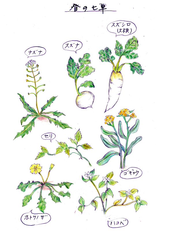 Spring seven herbs