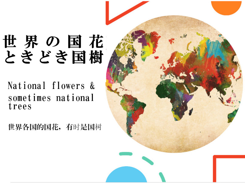 World national flower