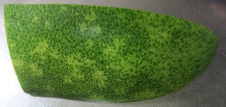 Winter melon