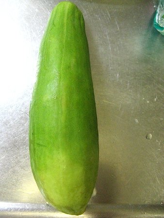 Oriental pickling melon