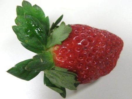 Garden strawberry