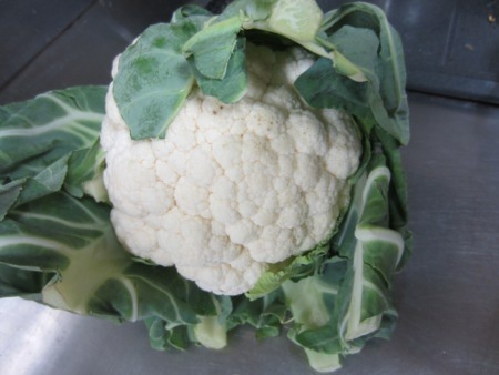 Cauliflower